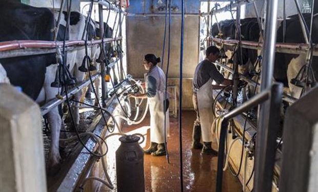 El maíz y la energía son los costos que más subieron en términos porcentuales.