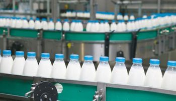 Aunque el sector sigue en crisis, la producción de leche volvió a crecer