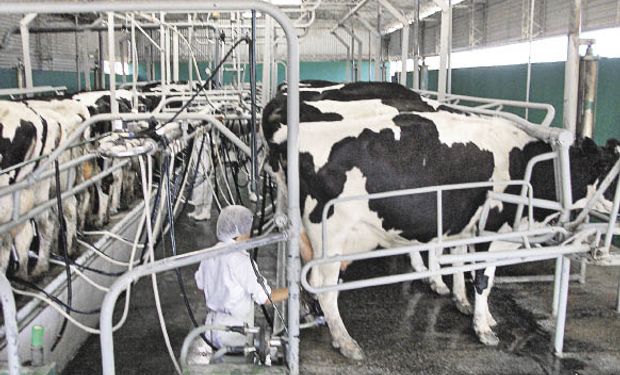 China frenó el ingreso de productos lácteos