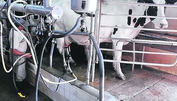 Productores lecheros, contra el cepo de precios