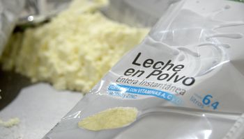 La lechería exportó por US$ 1690 millones y fue el registro más alto de los últimos 12 años