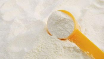 Fonterra: leche en polvo con precio más elevado en 10 meses