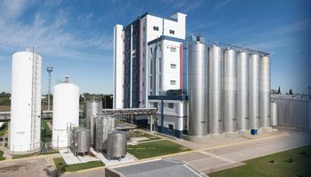 Se recupera el precio de exportación de la leche en polvo argentina