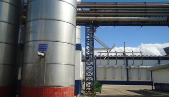 Exportación de leche en polvo acumula diez meses de pérdidas