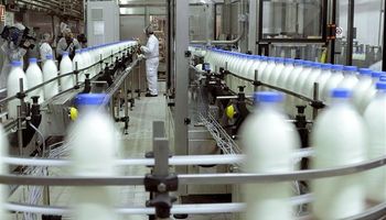 Firma láctea estadounidense deja de producir en Uruguay
