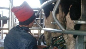FAA solicita un subsidio de $ 0,50 por litro de leche
