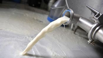 Remate de Fonterra: precios de los lácteos a la baja