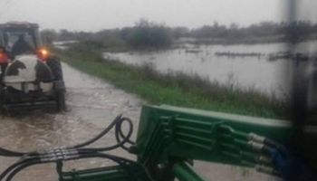 Por las lluvias se complica sacar la leche