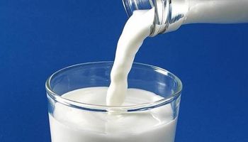 Nuevas señales en el mercado mundial de productos lácteos