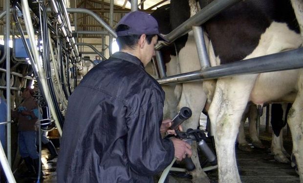 Para los productores, costos en alta y precios en baja. Foto: Archivo La Nación