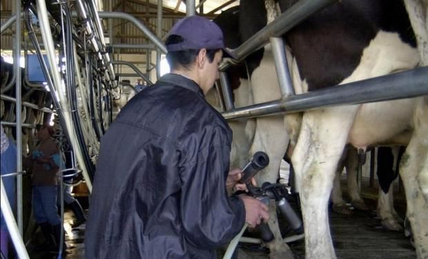 Una parte de los créditos va ir para los productores y otra parte para la industria.