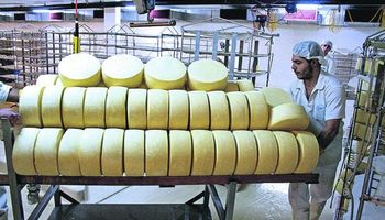 Uruguay: precio de leche en polvo cayó 16% en casi un año