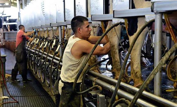 El Instituto Nacional de la Leche (Inale) lo reveló en un indicador trimestral.