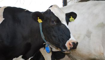 Gremios e industria láctea firmarán nuevo convenio