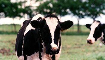 Qué cambia con la retención definitiva del 1% en el IVA para la leche