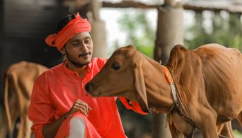 La India, "un viaje fascinante por la lechería”: cómo se produce en el país de los 1.300 millones y las vacas sagradas