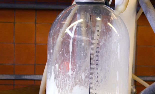 Ensayos demuestran que se puede producir más leche en Argentina