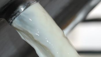 ¿Hace falta más leche en Argentina o no?
