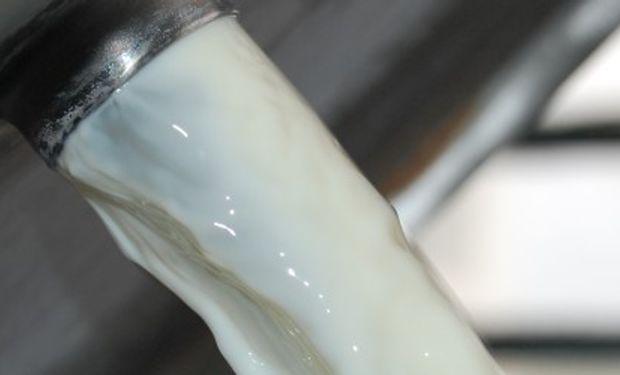 ¿Hace falta más leche en Argentina o no?