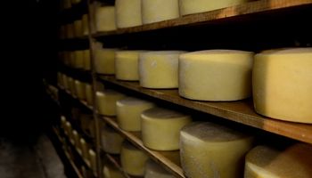 Las exportaciones de lácteos crecieron más del 38% en 2018