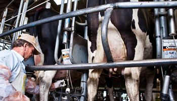 Competitividad, exportaciones y calidad de la leche: los ejes que planteó el Gobierno para el sector lácteo