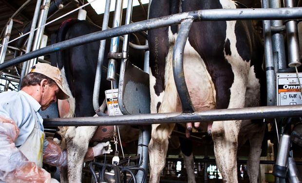 Competitividad, exportaciones y calidad de la leche: los ejes que planteó el Gobierno para el sector lácteo