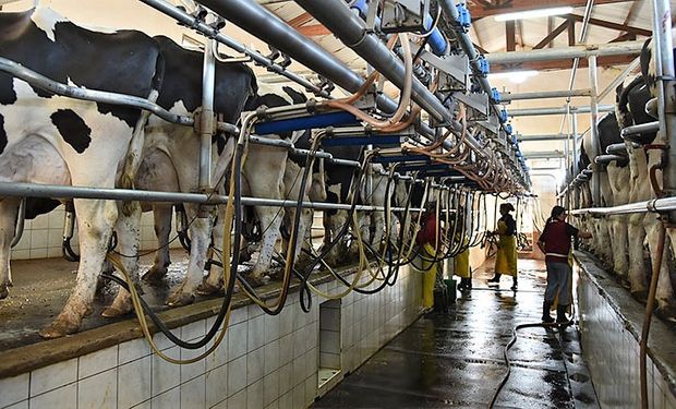 Argentina se posicionó en el top tres de países que más aumentaron su producción de leche
