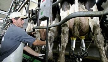 Cautela en la lechería 2015 ante el tsunami de precios