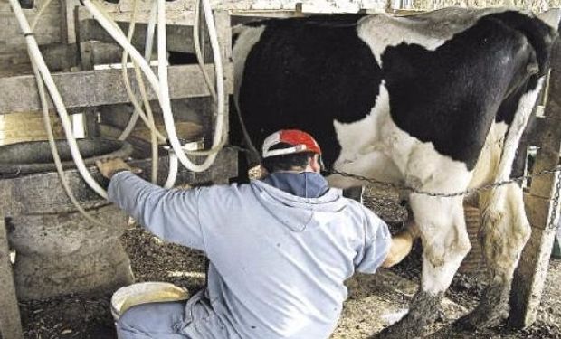 La calidad de la leche, en algunos aspectos, muestra valores superiores a los informados para la Cuenca Central Santafesina.