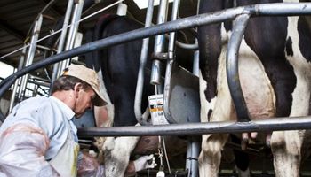 Crisis de la láctea SanCor: "Nuevamente pagará el productor tambero"