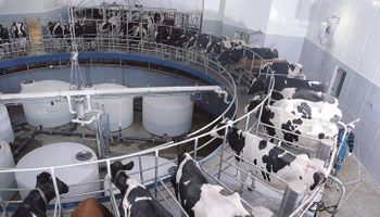 El negocio lácteo no logra salir de su laberinto