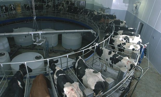 En la comparación contra enero de 2017 se registra una suba de 13% en la oferta de leche.