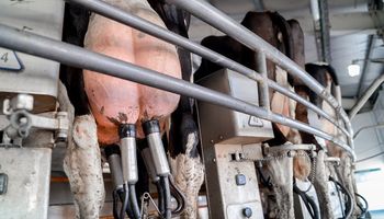 Malasia reafirma el interés por los lácteos argentinos y busca incorporar la carne