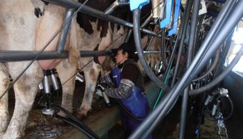 Tamberos piden emergencia sectorial y cobrar $ 6 por litro