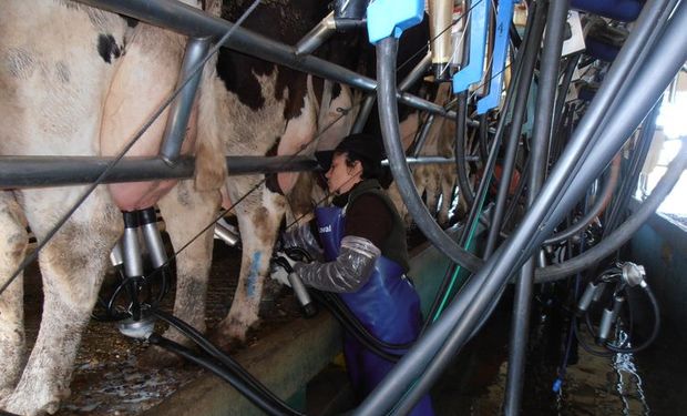Piden "un precio mínimo sostén de $ 6" por litro de leche cruda.
