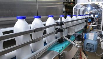 Repunta la producción de leche en el bimestre, tras dos años de caídas