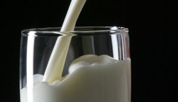 Outlook 2020: tres visiones sobre la lechería del futuro, desde la nutrición, la sustentabilidad y la tecnología