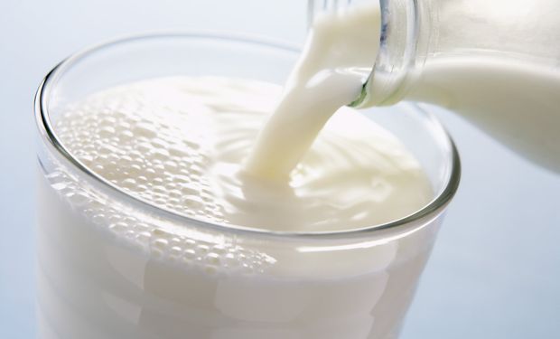 Ciencia y probióticos: las claves que pueden marcar el futuro de la lechería