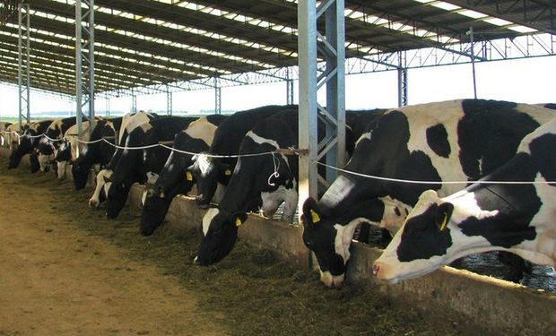 En términos de mercado, el valor para la leche en polvo trepó en más de una oportunidad a 5000 dólares la tonelada.