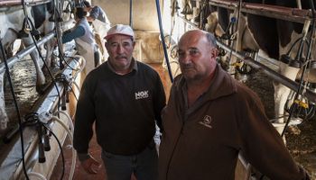 El endeudamiento tiene a los tamberos contra las cuerdas