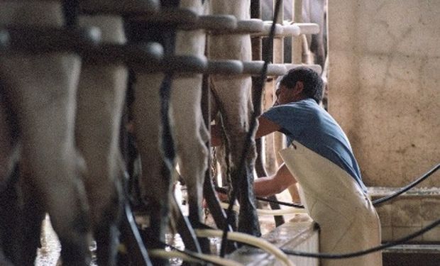 Hoy se reanudará la recolección de la leche en los tambos.