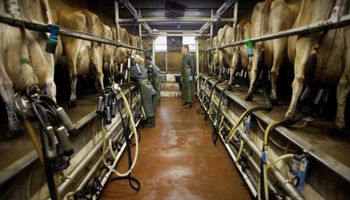 USDA sobre la lechería argentina: “Una de las peores crisis de los últimos veinte años”