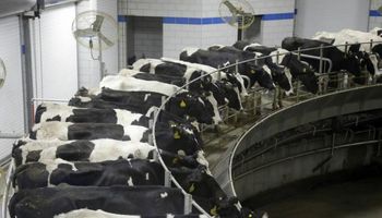 Federación Agraria volvió a reclamar ayuda para tamberos