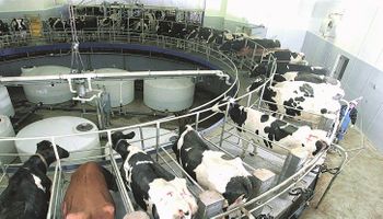 El sector lácteo, con la peor performance de la última década