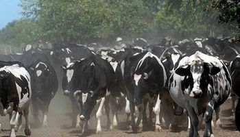 Advierten que la situación de los tambos es crítica