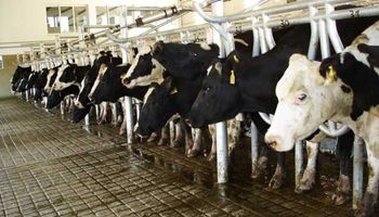 Nestlé lidera la baja de precios de la leche pagada a tamberos