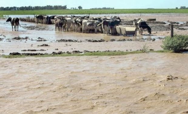 Durante el encuentro, los productores describieron la situación de la producción lechera provincial, cuyas pérdidas irán de un 20 a un 40 por ciento.