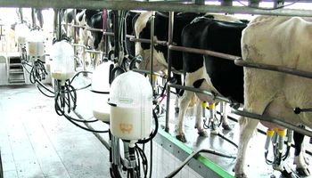 Producción de leche sube 1,5% a 11,5 M de toneladas