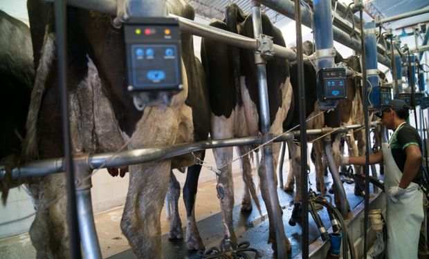 Impulso a proyectos de investigación y desarrollo en genética de bovinos de leche.