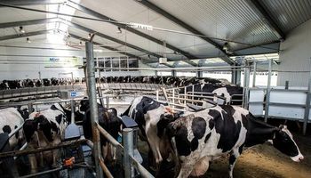 Conflicto lechero: Negri pasa a la ofensiva